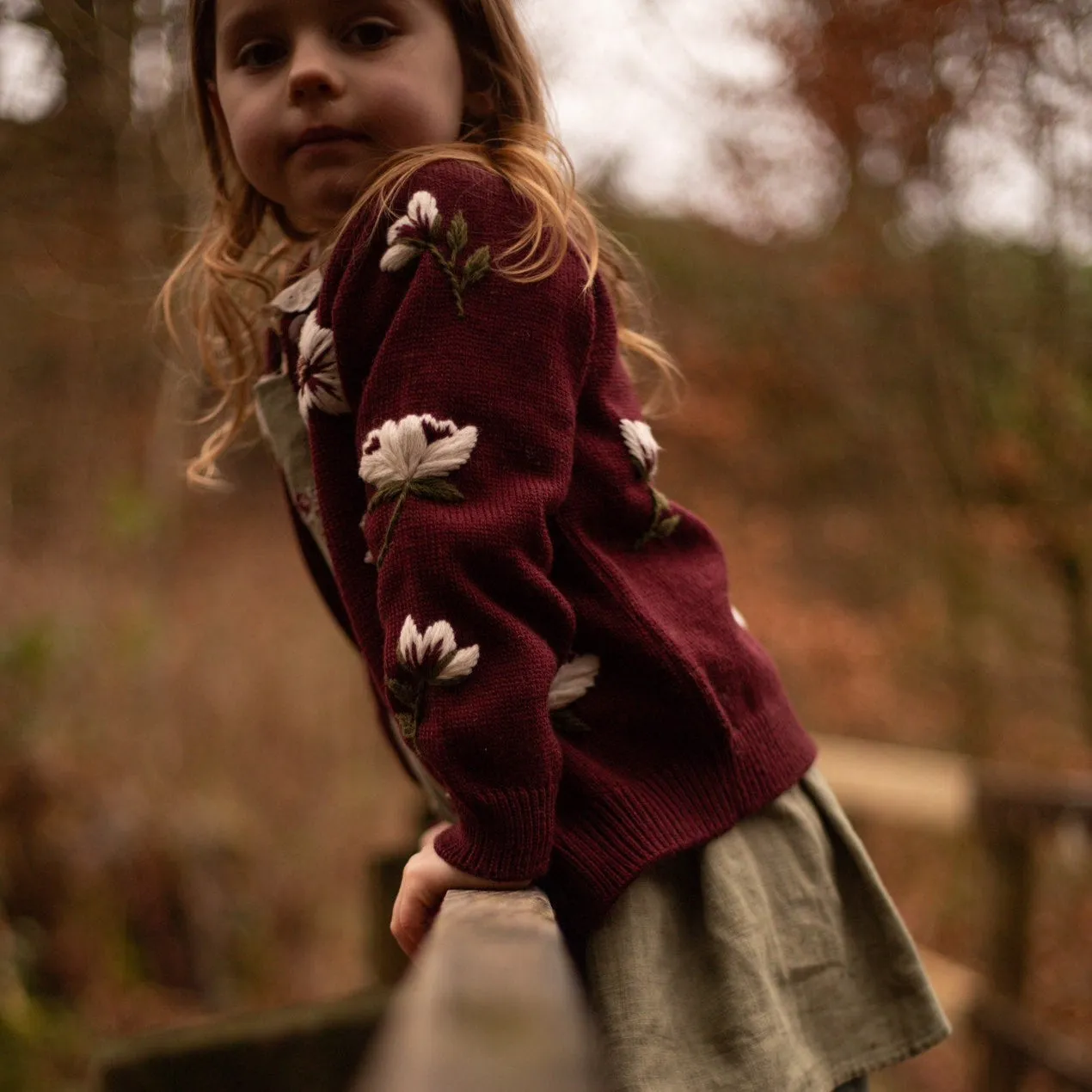 Hellebores cardigan - Grape