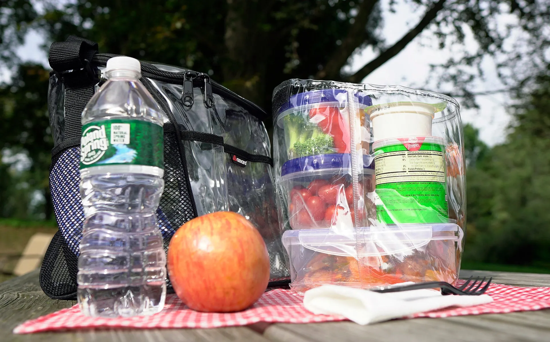 V.1 Amaro Clear Lunch Bag With Removable Insert - 9.75"LX8"WX9.5"H (MEDIUM)